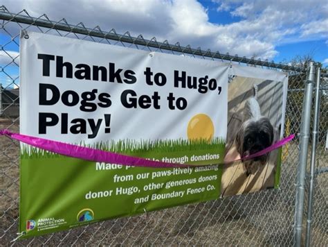 Photos: Denver Animal Shelter opens dog play yard thanks to donation